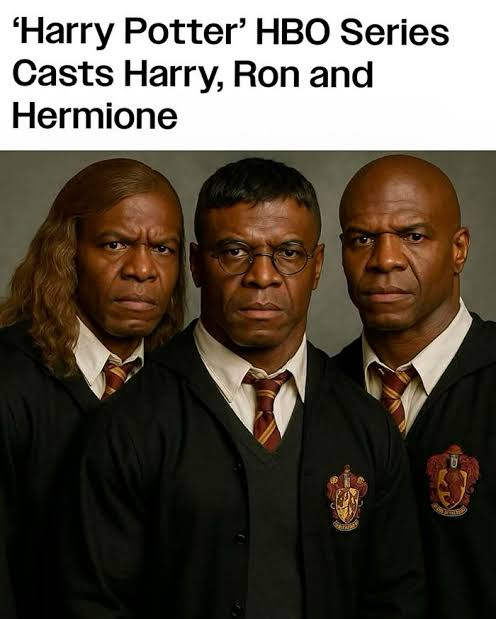 Meme reacting to HBO casting Harry, Ron and Hermione